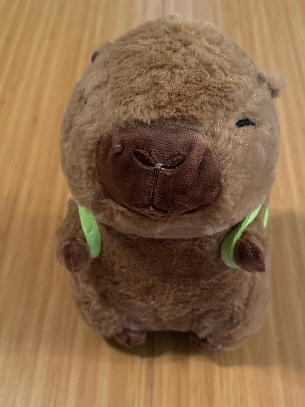 Soft Capybara plush with turtle backpack